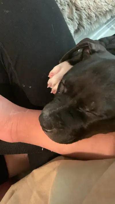 bully or pot I’ll mix approx. 3 months, View more