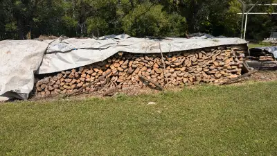 Poplar firewood 300 bucks a cord