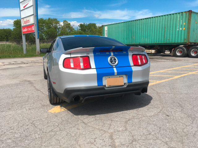 2011 Shelby GT500 in Cars & Trucks in Belleville - Image 4