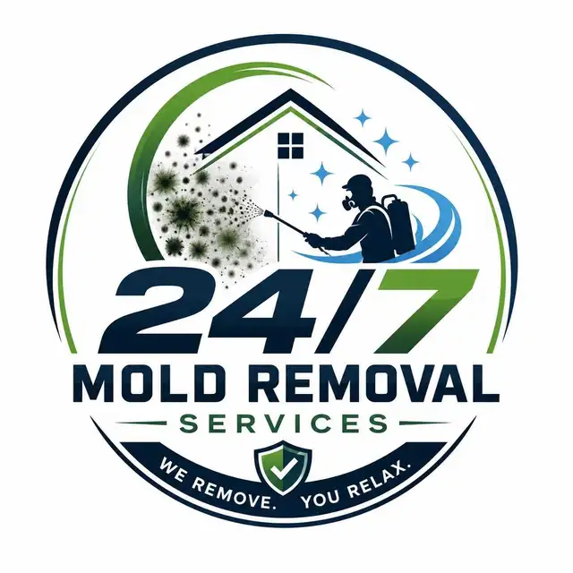 24/ 7 Mold Removal