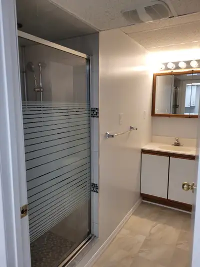 Bright, spacious apartment in quiet neighbourhood in a smoke-free, pet-free family home. Close to Wh...