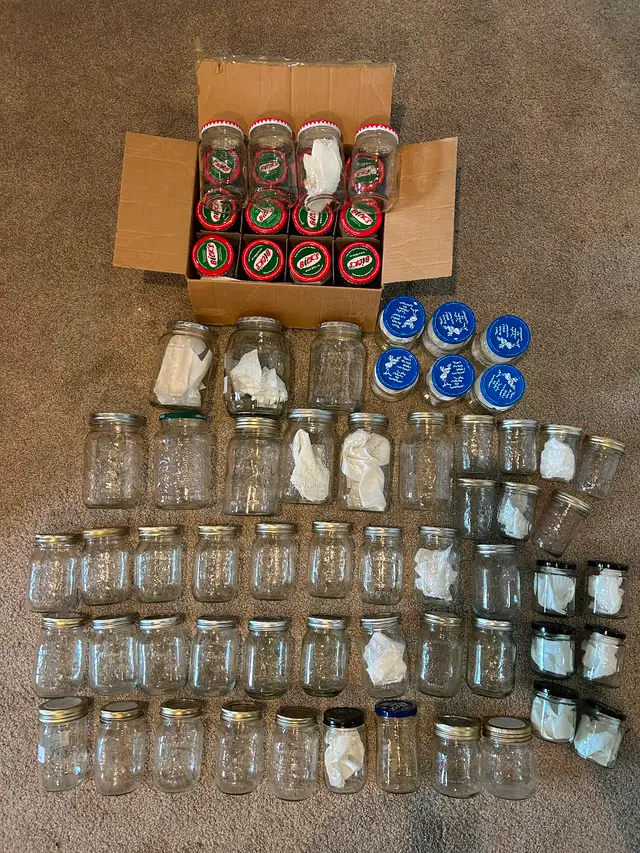 Jars( Canning )63760519240449120