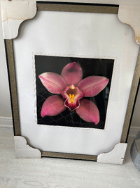 *PICTURE FRAME WALL ART BRAND NEW $50*