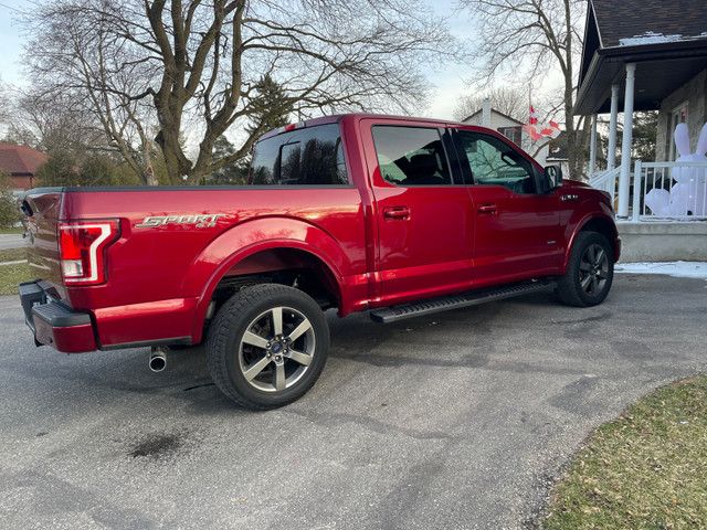 2017 Ford F150 XLT Sport 4x4  in Cars & Trucks in Kitchener / Waterloo - Image 4