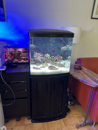 Coralife Biocube 32G aquarium with stand and LOTS of extras.