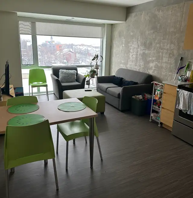 Room for Summer Rent with Own Bathroom in Room Rentals & Roommates in Ottawa - Image 4