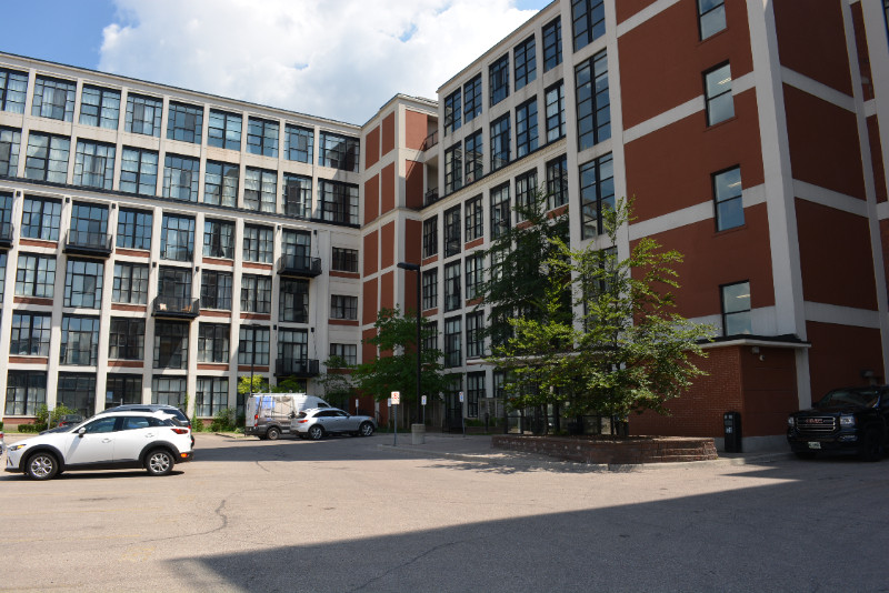 One bedroom unit in downtown Kitchener with parking Sept 1 Long Term