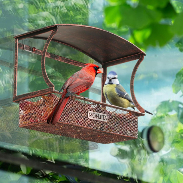 Window Bird Feeder by Monjita dans Accessoires  à Ville de Montréal - Image 2