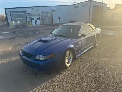 2003 mustang gt convertible has brand new convertible top install this spring has new smoked headlig...