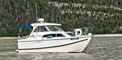 2007 Bayliner 246 Discovery for sale - 5.7 litre GM, 250 hours on motor Tandom axel trailer with bra...