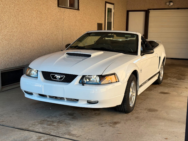 2002 Ford Mustang in Cars & Trucks in Medicine Hat