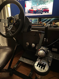 Racing Sim - Thrustmaster T300