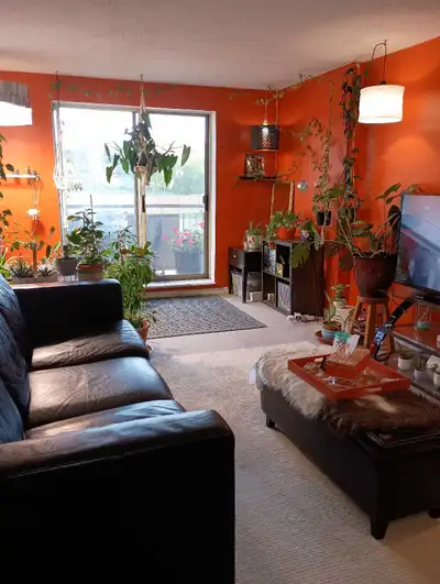 Fully furnished room with walk in closet. Bathroom just outside bedroom door. Utilities and wifi inc...