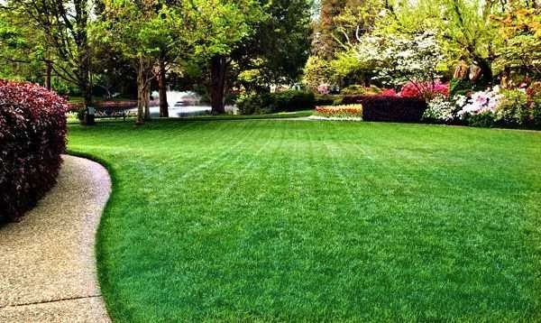 Expert Lawn Care in Other in Dartmouth