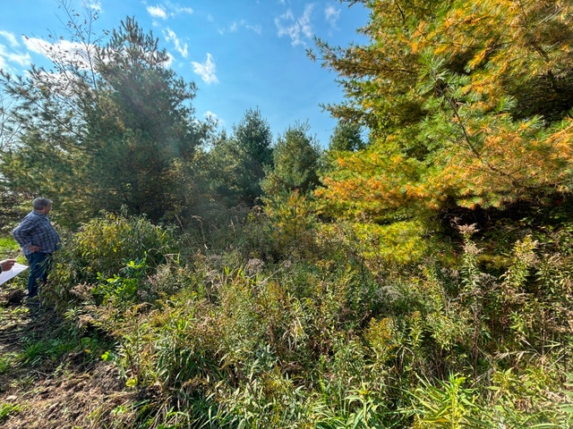 Terrain à vendre — photo 3