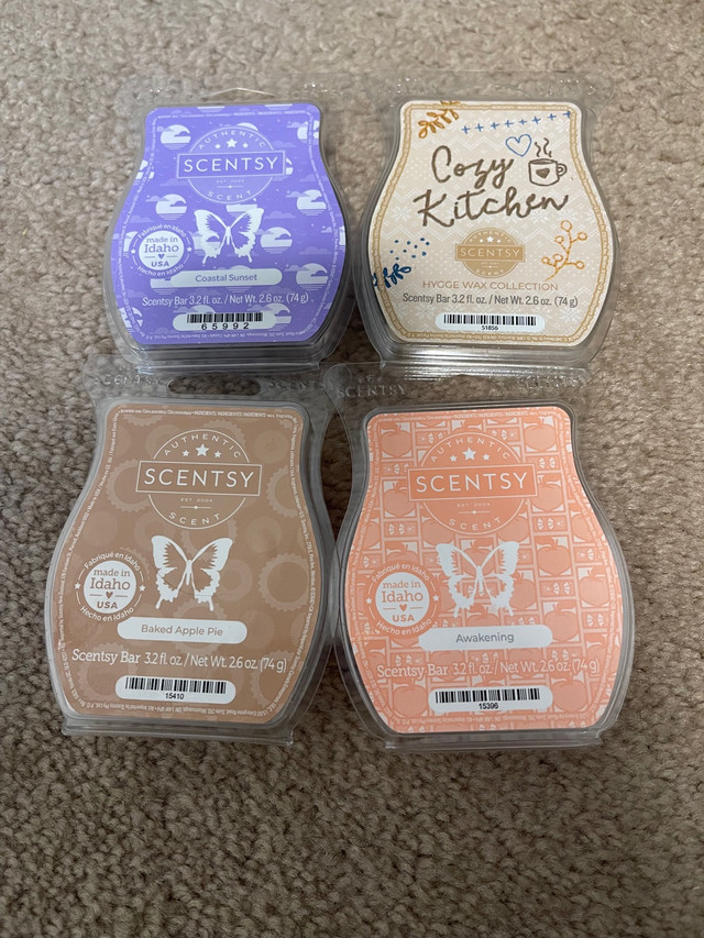 Scentsy Clear Out  in Home Décor & Accents in Red Deer - Image 4