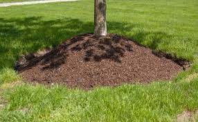 Gardeners Touch in Other in Oakville / Halton Region - Image 3