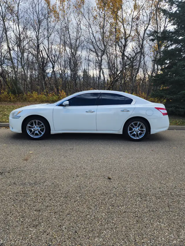 2011 Nissan Maxima SV Premium606387616320081924