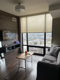 Icon 330 Waterloo 2/3 rooms for rent May-August 2024