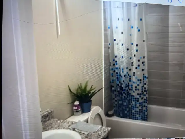 Beautiful Basement for Rent in Long Term Rentals in Markham / York Region - Image 4