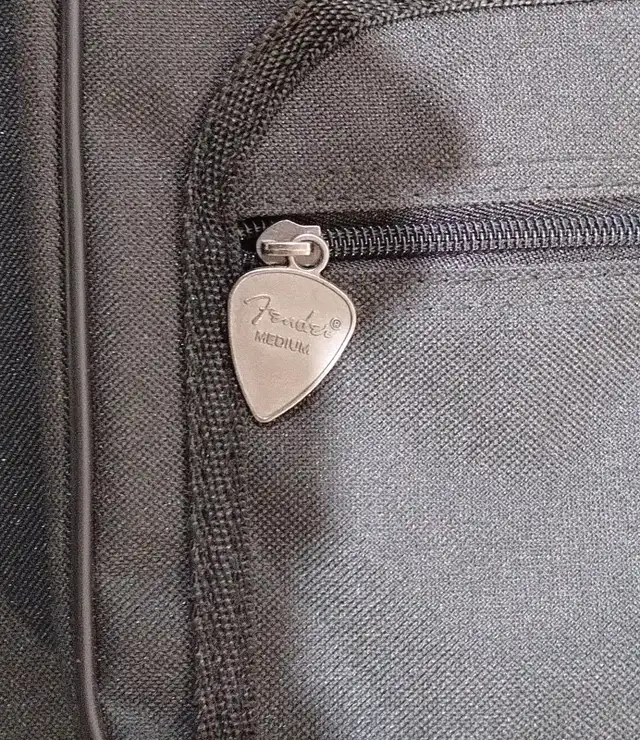 Godin Etui Dur Guitares Electriques : Hard case for elec guitars in Guitars in Laval / North Shore - Image 9