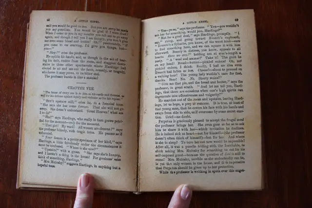 A Little Rebel. A Story - By "The Duchess" in Fiction in London - Image 8