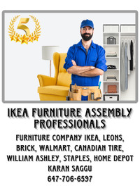 FURNITURE ASSEMBLY MAN 