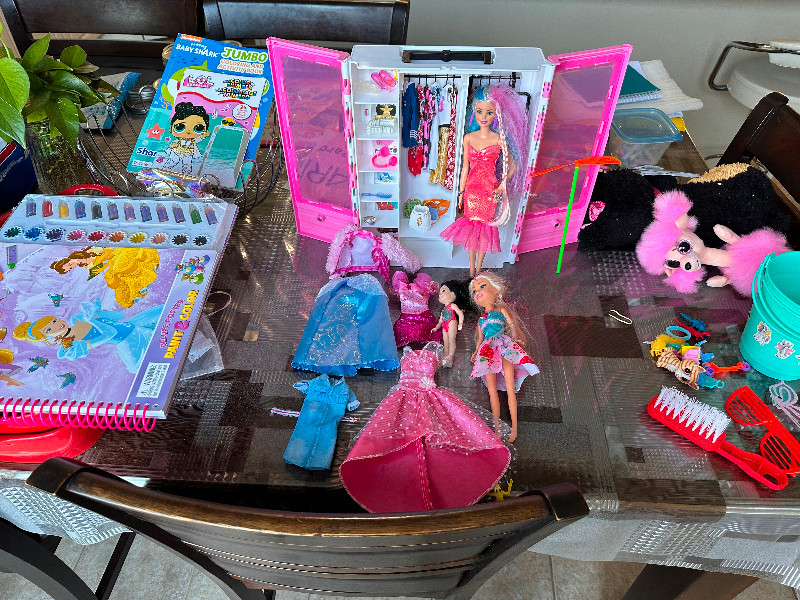 Free Barbie fashion closet and other toys Free Stuff Mississauga