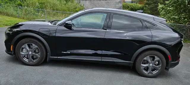 2023 Ford Mustang mach e 556564748583587842