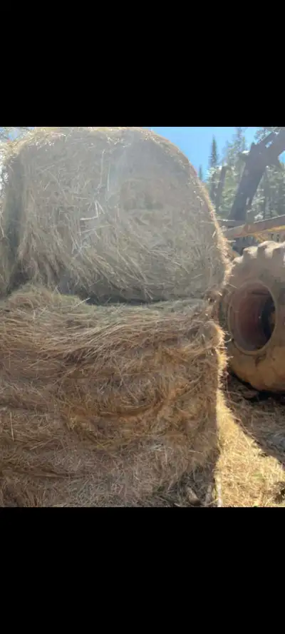 Hard core round bales