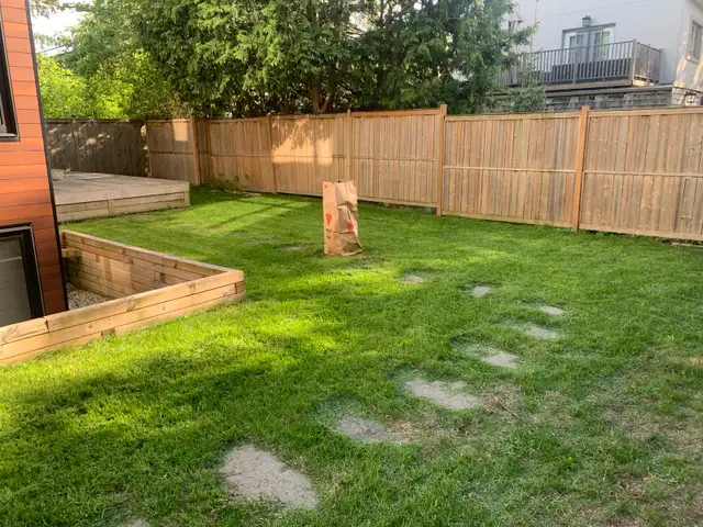 Yard work531649299282677764