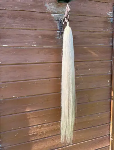 Only used a few times white real horse hair fake tail only selling because it doesn’t match my horse...