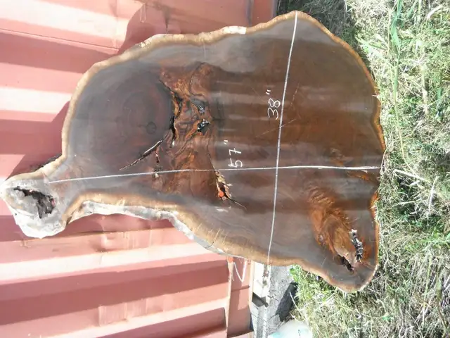 Various Live Edge Wooden Slabs in Other in Ottawa - Image 4