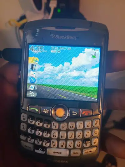 Blackberry curve , View more