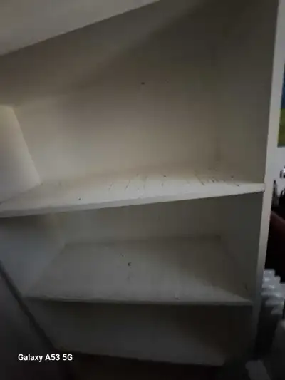 White Shelf, View more