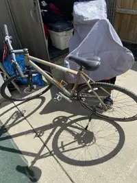 Bike and bike rack