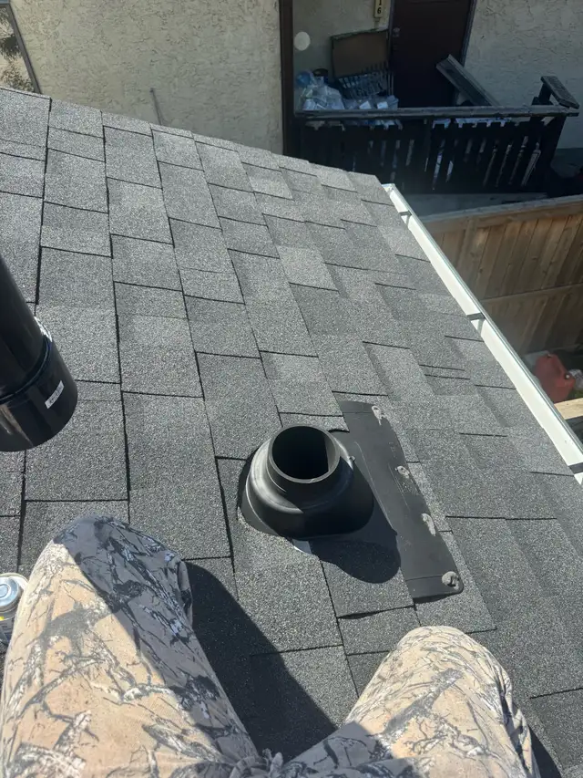 MLP Home Services557016885274890245