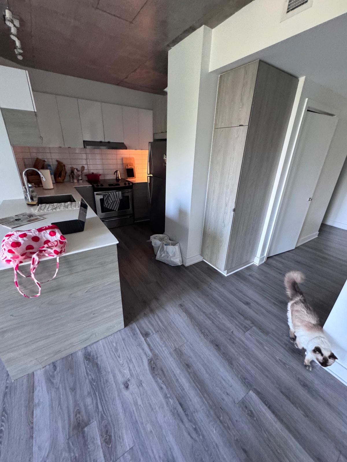 1770 Rue Joseph Manseau — photo 3