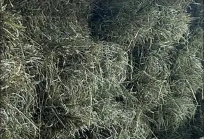 Grass hay - still available, View more