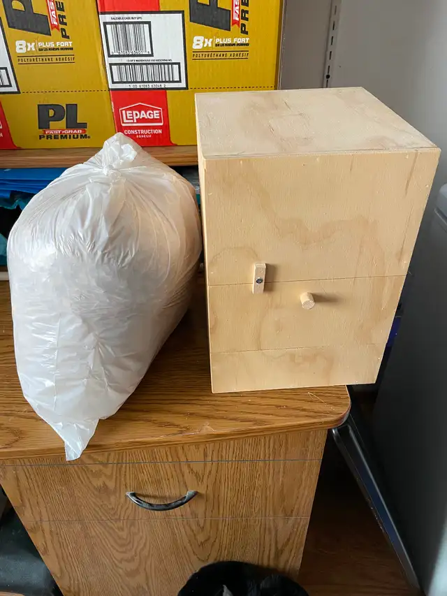 Nestbox in Birds for Rehoming in Calgary - Image 3