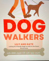 Dog Walkers !!