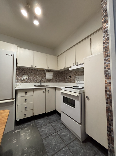 Short Term Rental 1-Bedroom Condo, Gym Pool, Plateau Mont Royal, View more