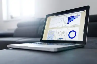 A CFA® Charter holder with CMA designation and extensive teaching and financial industry experience...