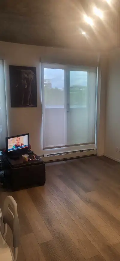 No damage deposit required. cozy room for rent