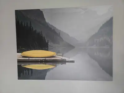 30in x 40in lake canvas. 780 263 4133 if interested thanks