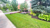 LANDSCAPING - SODDING - LAWN CARE SERVICES 