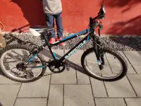 Junior bicycle - size 20