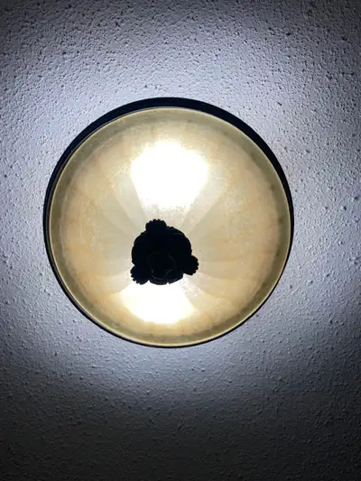 10 Ceiling Lights and Chandelier, View more