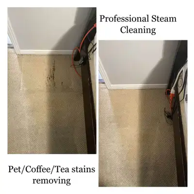 Fresh Home Carpet & Couch_Upholstery_Cleaning, View more
