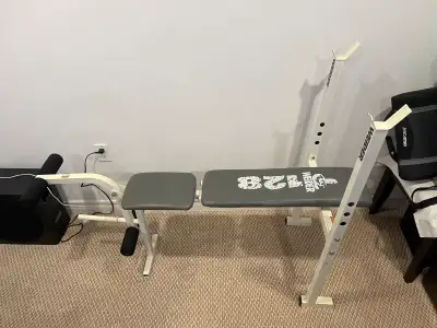 Used but still in pretty good condition. Does not come with a bar or any weights. Brock/Kingston are...